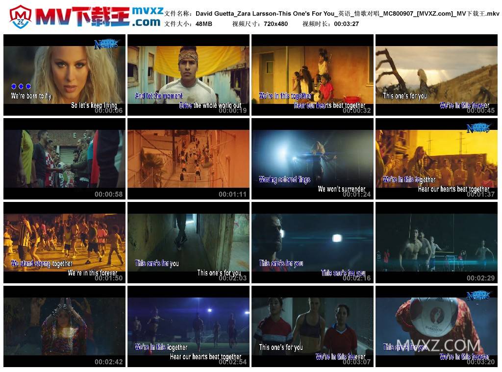 David Guetta_Zara Larsson-This One's For You_英语_情歌对唱_MC800907